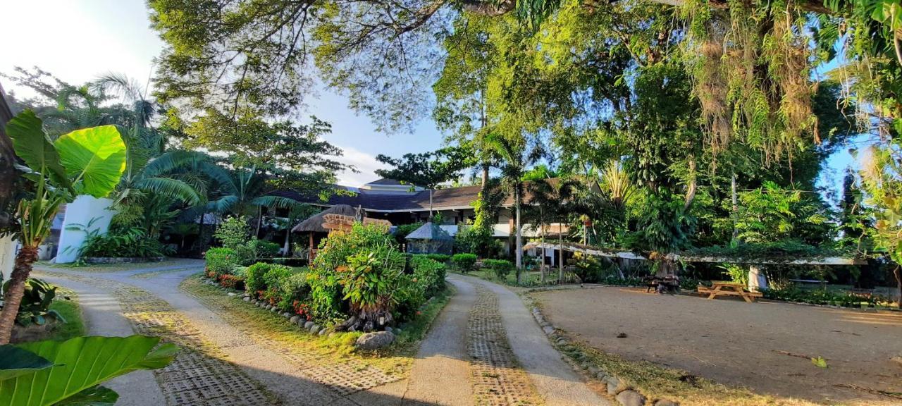 פורטו פרינססה Balay Tuko Garden Inn מראה חיצוני תמונה