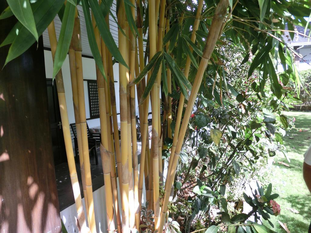 פורטו פרינססה Balay Tuko Garden Inn מראה חיצוני תמונה