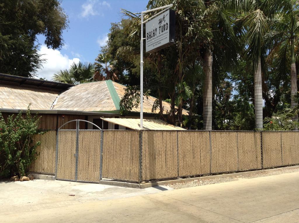 פורטו פרינססה Balay Tuko Garden Inn מראה חיצוני תמונה
