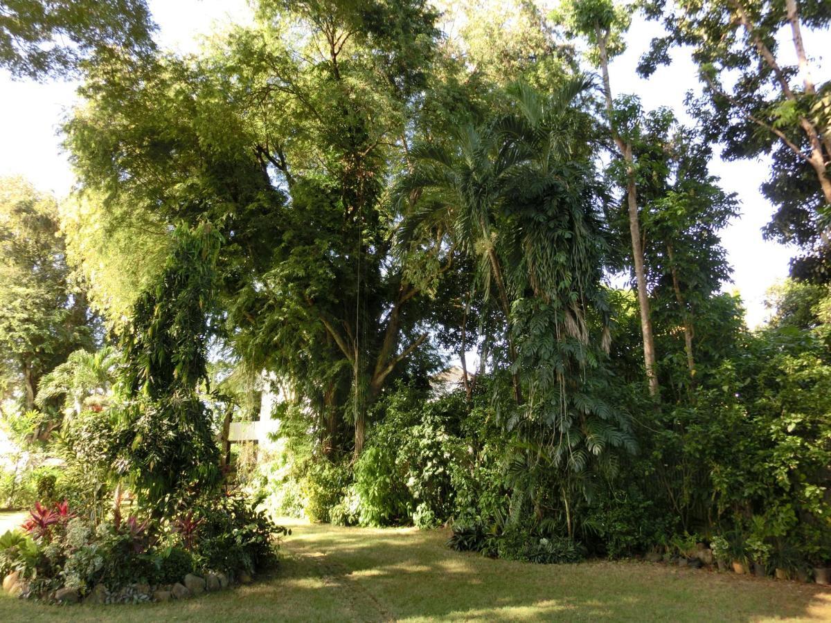 פורטו פרינססה Balay Tuko Garden Inn מראה חיצוני תמונה